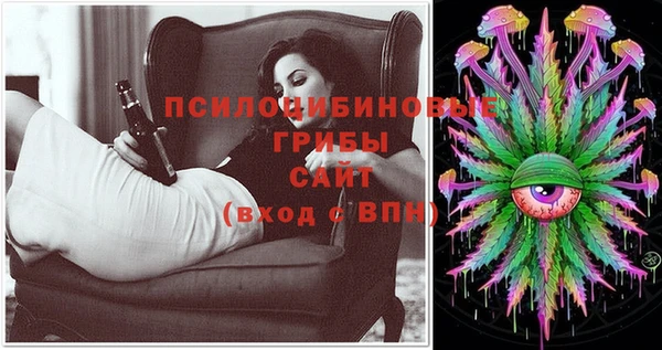 стаф Балахна