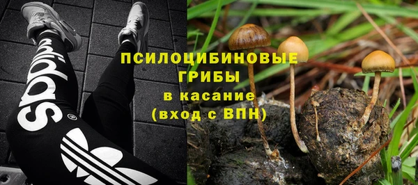 стаф Балахна