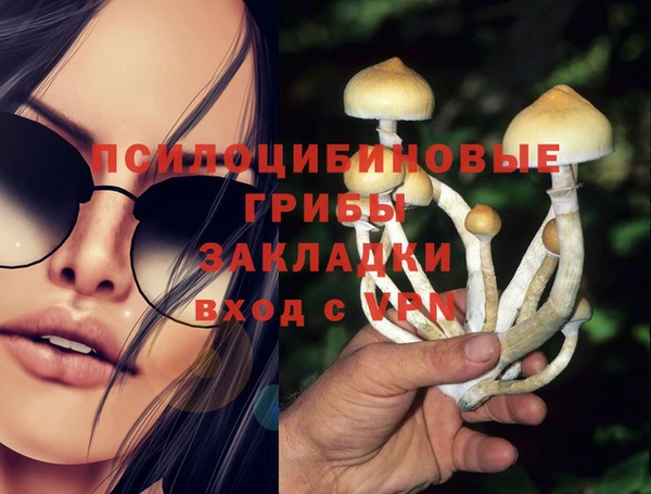 стаф Балахна