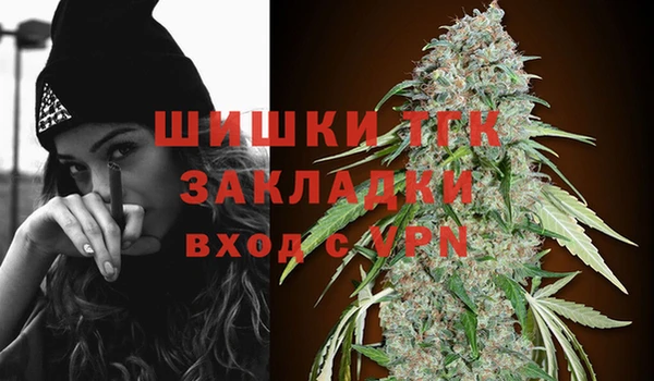 стаф Балахна