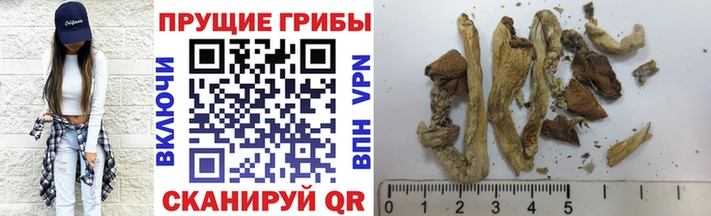 hydra ТОР  Болотное  Галлюциногенные грибы прущие грибы 